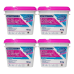 Kit 4 Cloro Para Limpeza Oxy Power 10kg Astralpool