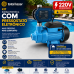 Kit Motobomba Periferica EBP500 0,5HP Pressostato DSK-4 220V