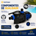 Bomba Centrífuga Piscina Brustec BB-1/2 1/2CV 220V 60Hz
