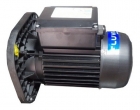 MOTOBOMBA FLUVIA 1/3 CV IP55 220V MONO 60HZ BR