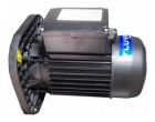  MOTOBOMBA FLUVIA 1CV IP55 220V MONO 60HZ BR