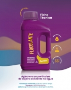 Floculante E Clarificante Piscina - Domclor - 1 L
