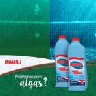 3 Algicida Choque Elimina Algas Piscina Verde 1L Hidroall