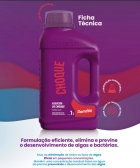 Algicida De Choque Domclor 1l Limpeza Para Piscina
