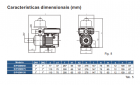 Bomba De Pressurização 1/2CV Inverter Press Eco Syllent 220v