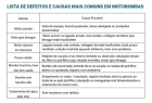 Motobomba Claw 1/3cv 0.33cv 250w Wmbp-33h 220 Volts Monofásica Pré Filtro Até 12700 L/h