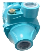 Bomba Perif&eacute;rica Lepono EBP500 0,5CV 220V &Aacute;gua Limpa