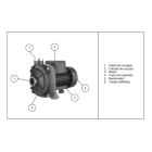 Motobomba Centr&iacute;fuga Lepono CQM30P 1/3cv 127/220v Monof&aacute;sica