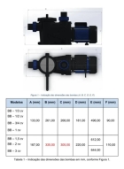 Bomba Centrífuga Para Piscina Brustec Bb 3/4 Cv 220v